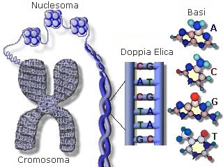 immagini/poza tecnologia del DNA 